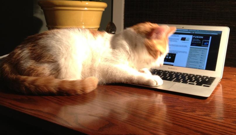 Podcast #119 — Digital Security On The Road; US Airports Getting Better?