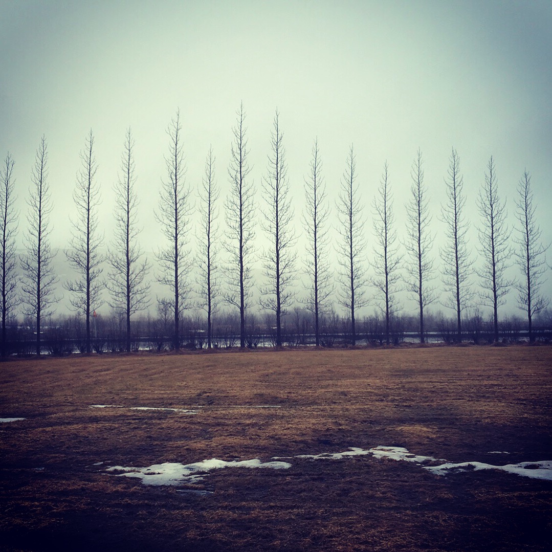 Podcast #122 — Data-Hungry Phones; Dramatic Iceland