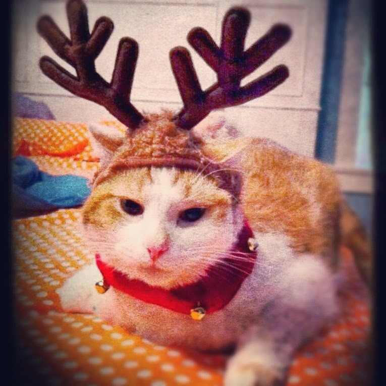 Podcast #147 — Holiday Travel Tips; Notes from Santa Fe