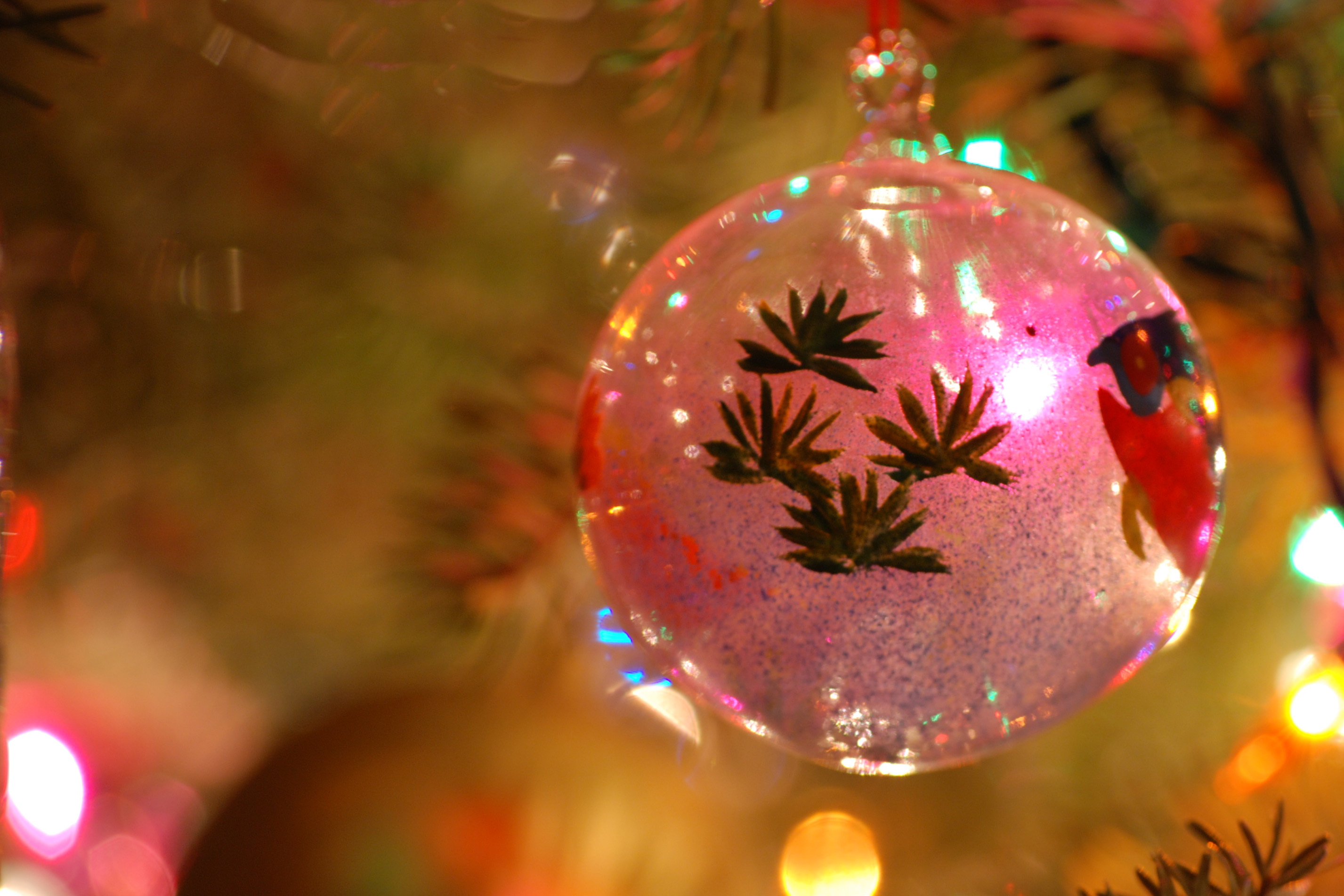 10 Best Gift Ideas for a New Traveler