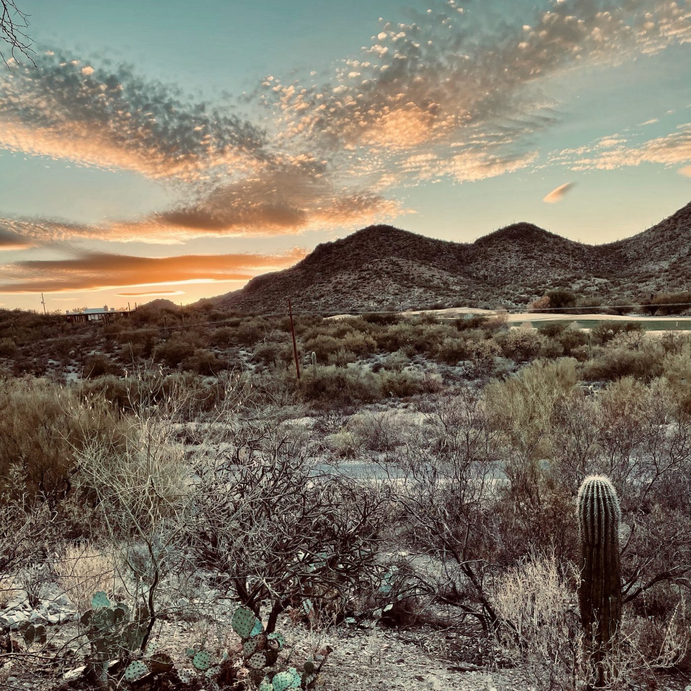 Quick Notes on Our Trip to Tucson